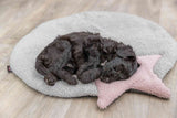 Schwarzer Hundewelpe schläft auf einer grauen, runden Matte mit einem rosa Stern auf hellem Holzboden.