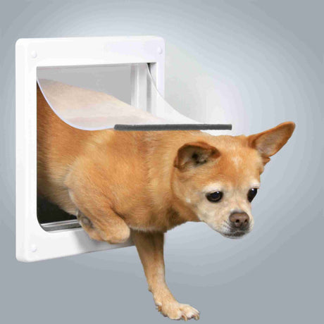 Ein kleiner Hund mit hellem Fell geht durch eine weiße Tierklappe in einer Tür.