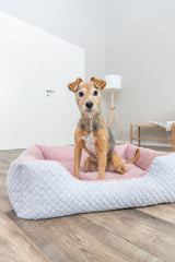 Kleiner Hund sitzt in einem weichen, rosa-weißen Hundebett auf Holzfußboden.