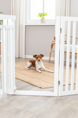 Hund liegt auf einem beigefarbenen Teppich vor einem Babygitter in einem hellen Wohnzimmer mit Fenster und Pflanzen.
