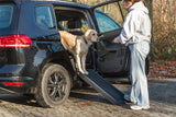 Ein Hund steigt mithilfe einer Rampe in ein Auto, daneben steht eine Person.