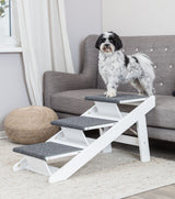 Ein kleiner, schwarz-weißer Hund steht auf einer weißen Treppe mit grauen Stufen vor einem grauen Sofa.
