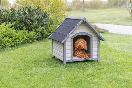 Ein kleiner, lockiger Hund sitzt in einer grauen Hundehütte auf grünem Rasen.