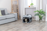 Ein kleiner Hund liegt in einer grauen, tragbaren Transportbox in einem Wohnzimmer mit Sofa, Pflanze und Leiter.