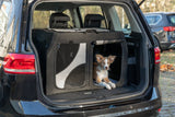 Hund liegt in geöffneter Transportbox im Kofferraum eines Autos.