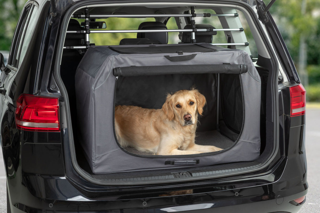 Ein Hund liegt in einer Transportbox im geöffneten Kofferraum eines schwarzen Autos.