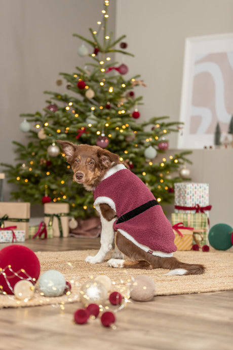 Hund in rotem Mantel sitzt vor geschmücktem Weihnachtsbaum mit Geschenken und Dekoration.