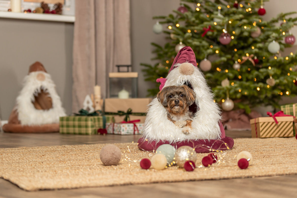 Ein kleiner Hund sitzt in einem weihnachtlich dekorierten Körbchen vor einem geschmückten Weihnachtsbaum.