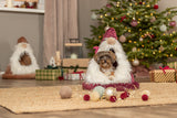 Ein kleiner Hund sitzt in einem weihnachtlich dekorierten Körbchen vor einem geschmückten Weihnachtsbaum.