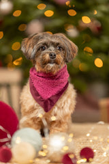 Kleiner Hund mit rosa Halstuch sitzt vor unscharfem, weihnachtlich dekoriertem Hintergrund.