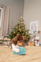 Hund mit weißem und braunem Fell spielt mit blauem Spielzeug vor geschmücktem Weihnachtsbaum.