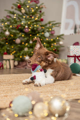 Ein brauner Hund liegt vor einem geschmückten Weihnachtsbaum und hält ein Plüschspielzeug.
