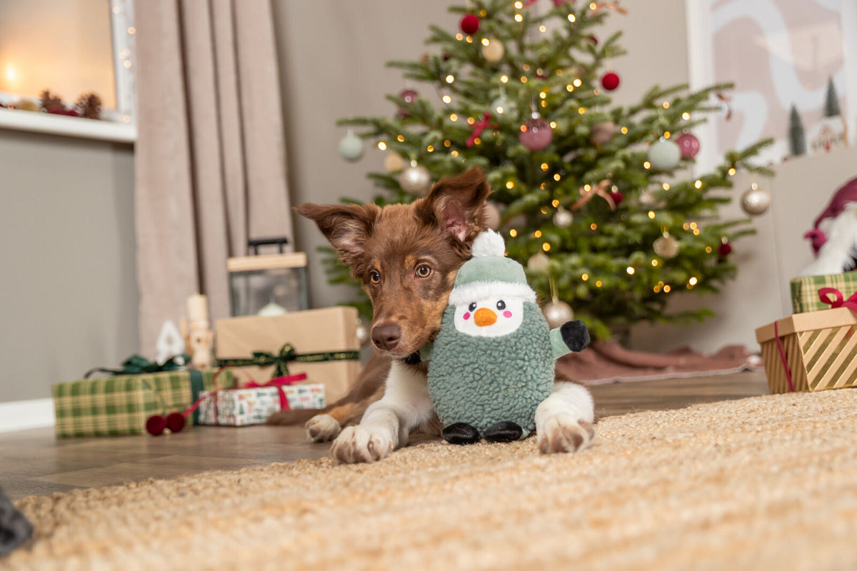Hund liegt vor einem geschmückten Weihnachtsbaum mit einem Plüsch-Schneemannspielzeug.
