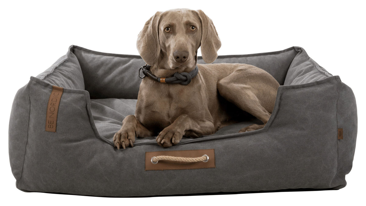 Ein grauer Hund liegt in einem dunkelgrauen Hundebett mit braunen Details und einem Seilgriff.