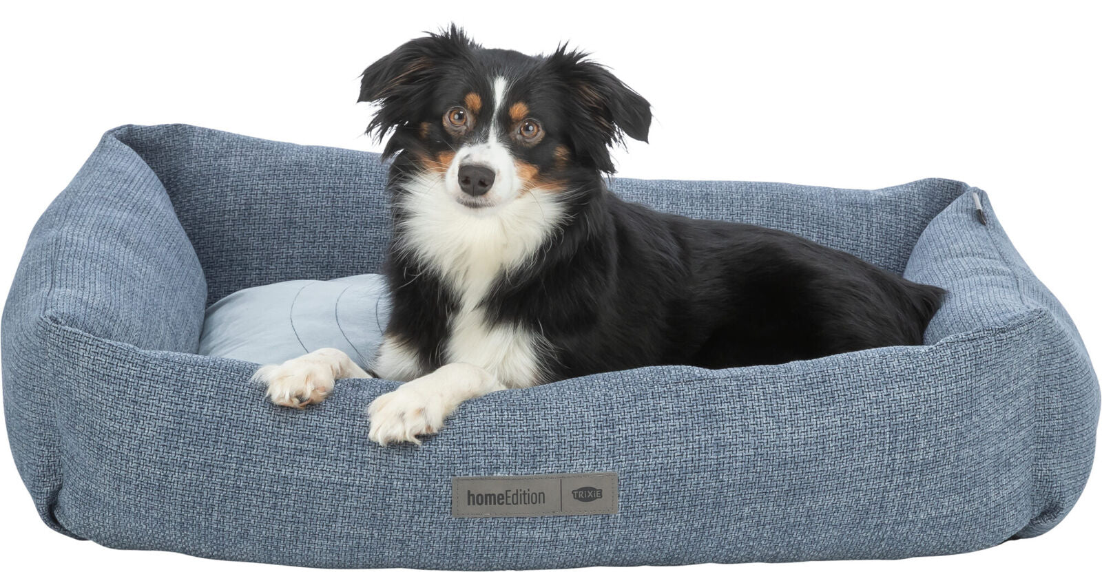 Ein schwarz-weißer Hund liegt in einem blauen Hundebett mit einem Kissen und einem Etikett mit der Aufschrift "homeEdition".