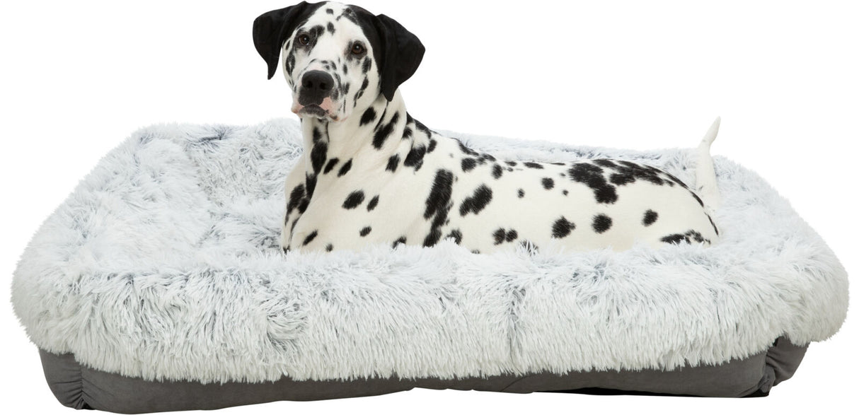 Hund mit schwarzen Flecken liegt auf einem flauschigen, hellgrauen Hundebett.