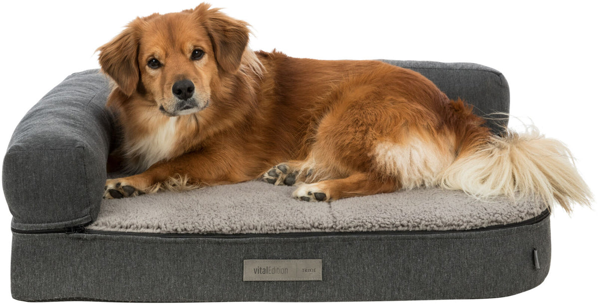 Ein brauner Hund liegt auf einem grauen Hundesofa mit Rücklehne, die Oberfläche ist flauschig und weich.