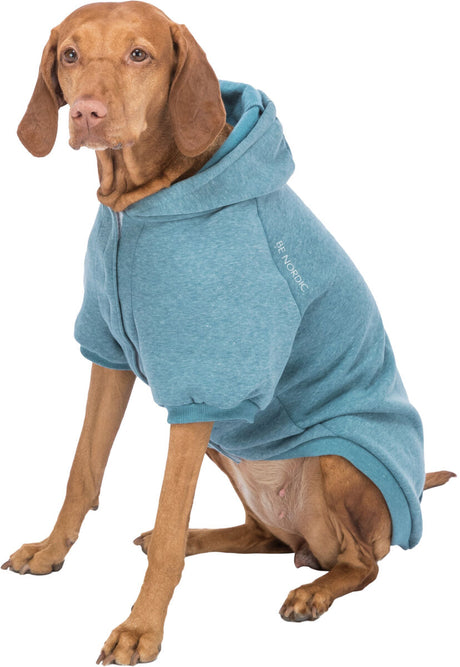 Hund in blauem Hundehoodie mit Kapuze und Schriftzug "BE NORDIC", sitzt aufrecht auf weißem Hintergrund.