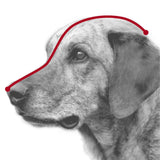 Schwarz-weißes Bild eines Hundes im Profil mit einer roten Linie, die von der Nasenspitze über den Kopf bis zum Nacken verläuft.