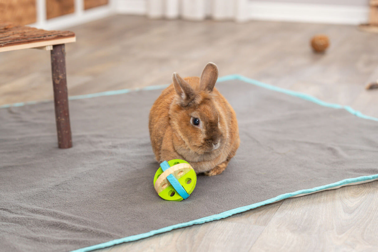 Braunes Kaninchen auf grauer Decke, spielt mit grünem und blauem Spielzeug auf Holzfußboden.