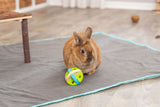 Braunes Kaninchen auf grauer Decke, spielt mit grünem und blauem Spielzeug auf Holzfußboden.