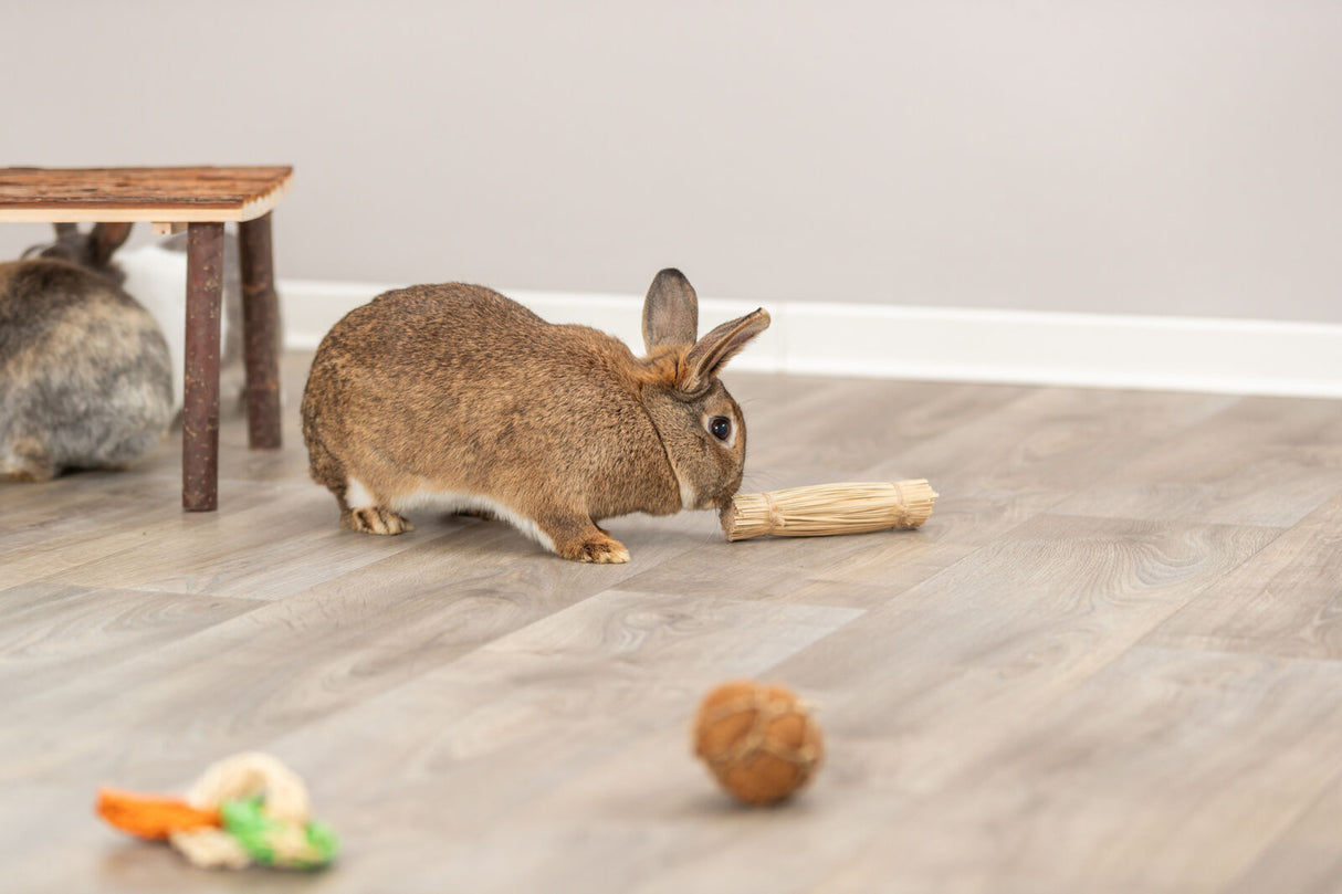 Ein brauner Hase schnuppert an einem geflochtenen Spielzeug auf einem Holzboden, im Hintergrund ein kleiner Holztisch.
