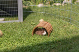 Ein Meerschweinchen sitzt in einem geflochtenen Tunnel auf einer grünen Wiese im Freiluftgehege.