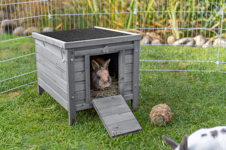Holzgehege auf Rasen mit Kaninchen im Inneren, Metallzaun, Heu und runder Ball im Vordergrund.