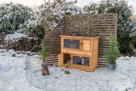 Holzkaninchenstall im verschneiten Garten mit Drahtzaun, zwei Pflanzen links und rechts, ein Kaninchen im unteren Bereich des Stalls.