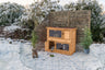 Holzkaninchenstall im verschneiten Garten mit Drahtzaun, zwei Pflanzen links und rechts, ein Kaninchen im unteren Bereich des Stalls.
