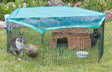 Freigehege aus Metall mit grünem Dach auf Rasen, ein Kaninchen und ein Meerschweinchen im Inneren, Wassertrog und Ball sichtbar.
