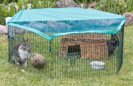 Freigehege aus Metall mit grünem Dach auf Rasen, ein Kaninchen und ein Meerschweinchen im Inneren, Wassertrog und Ball sichtbar.