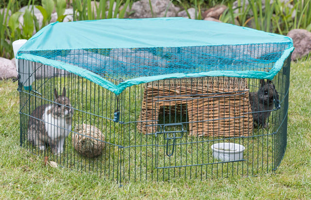 Freigehege aus Metall mit grünem Dach auf Rasen, ein Kaninchen und ein Meerschweinchen im Inneren, Wassertrog und Ball sichtbar.