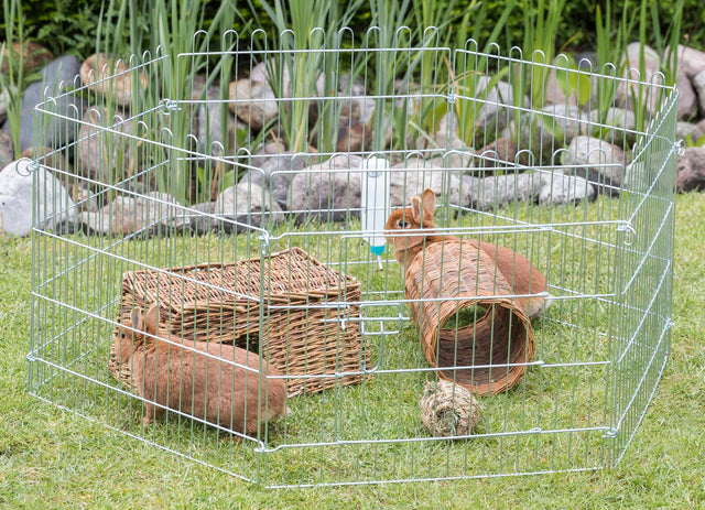 Ein Gittergehege auf Gras mit zwei Kaninchen, einem Trinkspender und geflochtenen Tunneln im Inneren.