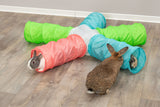 Kaninchen spielen auf einem Holzboden mit einem bunten Tunnelspielzeug in Grün, Blau, Weiß und Rosa.