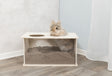 Langes, flauschiges Kaninchen sitzt teilweise in einem Holzkasten auf einem Holzboden, Kasten mit Sand gefüllt.