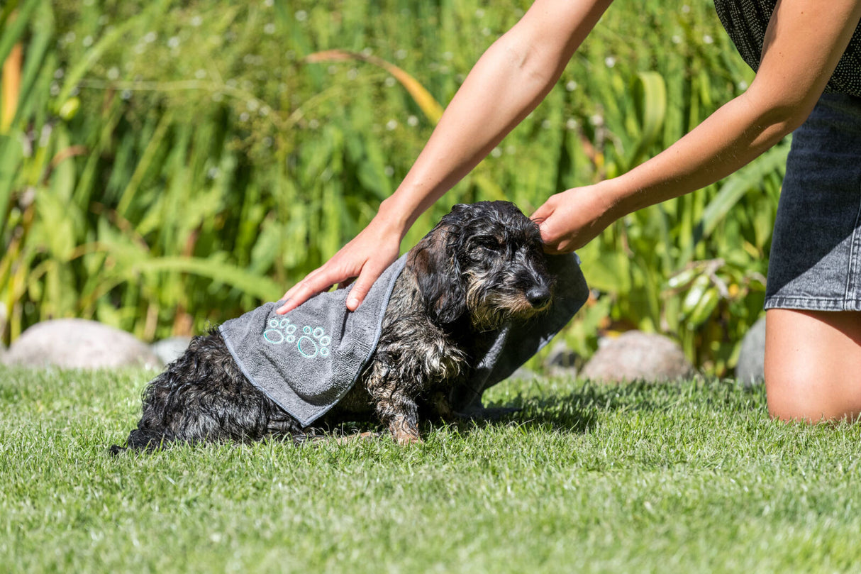 Eine Person trocknet einen nassen Hund mit einem grauen Handtuch mit Pfotenmotiv auf einer Wiese.