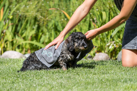 Eine Person trocknet einen nassen Hund mit einem grauen Handtuch mit Pfotenmotiv auf einer Wiese.