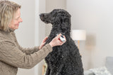 Eine Person in einem braunen Pullover hält ein Gerät an den Hals eines großen, lockigen schwarzen Hundes in einem Wohnzimmer.