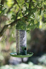 Grüner Vogelhäher mit Sonnenblumenkernen hängt an einem Ast, umgeben von grünen Blättern.