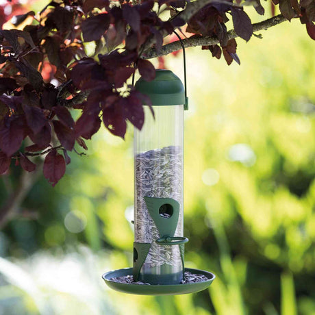 Ein grüner Vogel-Futterspender hängt an einem Ast mit roten Blättern, gefüllt mit Sonnenblumenkernen.