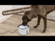 kR13KlvlPFM