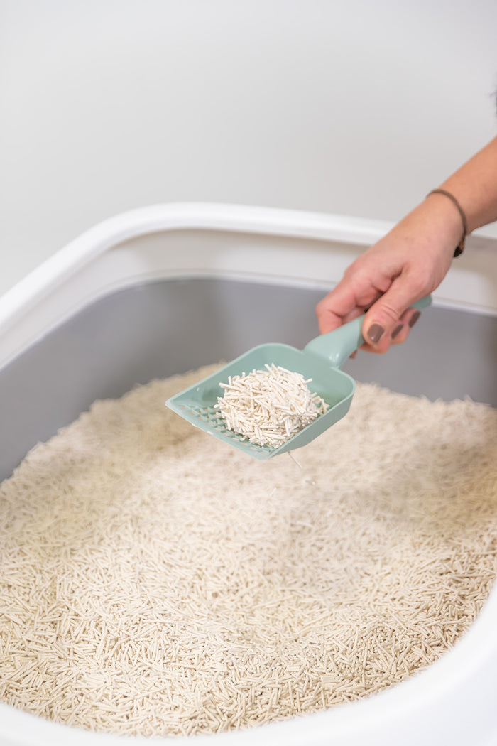 Schaufel mit Tofu-Katzenstreu über offener Katzentoilette mit feinen Pflanzenpellets